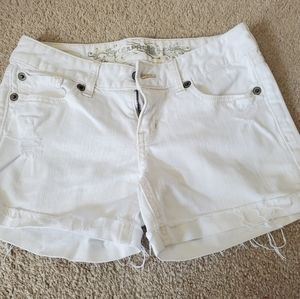 Express shorts